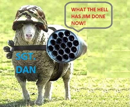 sheep-dan
