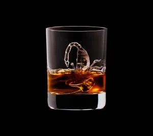 suntory-ice-cubes-23